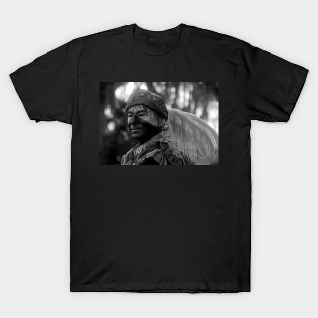 Feathered Warrior T-Shirt by dltphoto